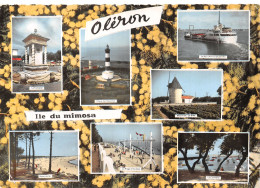 17 ILE DOLERON LES MIMOSAS - Ile D'Oléron