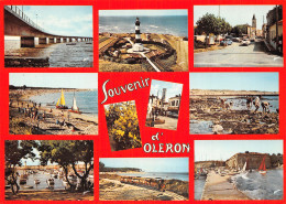 17 ILE DOLERON DOMINO - Ile D'Oléron