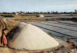 17 ILE DE RE ET OLERON LES MARAIS SALANTS - Ile De Ré