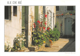 17 ILE DE RE RUELLE FLEURIE - Ile De Ré