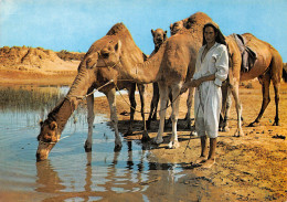 TUNISIE JERBA - Tunisia