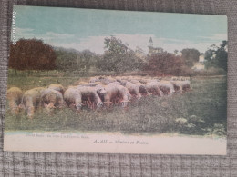30.GARD// ALES ALAIS. Troupeau De Moutons En Prairie..animee - Alès