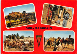 MAROC LE SUD - Other & Unclassified