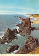 USA OR SEAL ROCK - Other & Unclassified