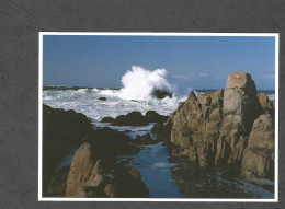 STONE And SURF - POINT LOBOS STATE RESERVE - CALIFORNIA - USA - - Sonstige & Ohne Zuordnung