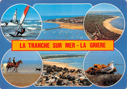 85 LA TRANCHE SUR MER LA GRIERE - La Tranche Sur Mer