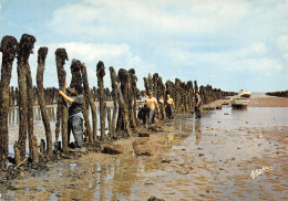 17 ILE DOLERON LES BOUCHOLEURS - Ile D'Oléron