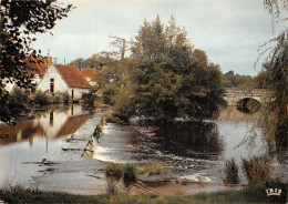 86 LA TRIMOUILLE MOULIN PERRIN - La Trimouille