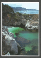 CHINA COVE - POINT LOBOS STATE RESERVE - CALIFORNIA - USA - - Other & Unclassified