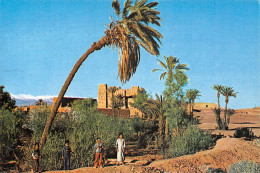 MAROC KASBAH - Other & Unclassified