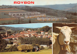 38 ROYBON - Other & Unclassified