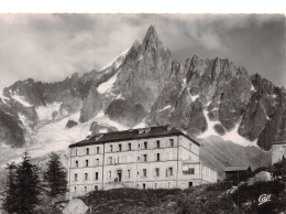 74 CHAMONIX MONT BLANC MER DE GLACE - Chamonix-Mont-Blanc
