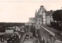 37 AMBOISE LE CHÂTEAU - Amboise