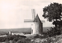 13 PROVENCE LE MOULIN DE DAUDET - Autres & Non Classés