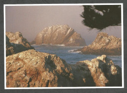 BIRD ISLAND - POINT LOBOS STATE RESERVE - CALIFORNIA - USA - - Altri & Non Classificati