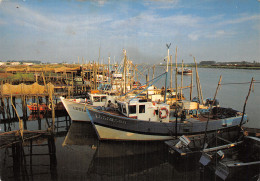 85 AIGUILLON SUR MER LE PORT - Autres & Non Classés