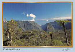 974 ILE DE LA REUNION MAFATE - Andere & Zonder Classificatie