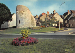 36 ISSOUDUN RUINES - Issoudun