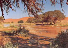 NAMIBIA LA RIVIERE - Namibie