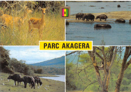 RWANDA PARC AKAGERA - Ruanda