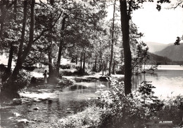 88 LES VOSGES LE LAC DE LONGEMER - Autres & Non Classés