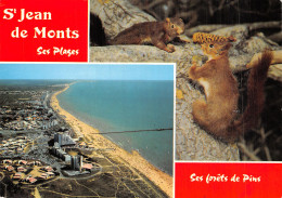 85 SAINT JEAN DE MONTS - Saint Jean De Monts