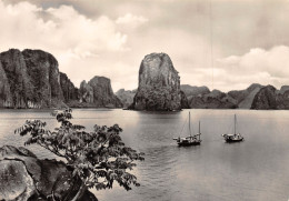 VIET NAM ILOT CRAPAUD - Viêt-Nam