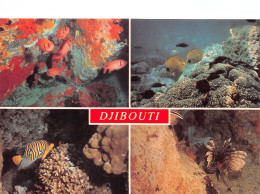 DJIBOUTI - Dschibuti