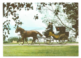 A SWEDISH POSTAL COACH From The FIRST PART Of The 1880's - SWEDEN - SVERIGE - - Suède