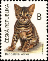 ** 1164 - 5 Czech Republic Kittens 2022 - Ungebraucht