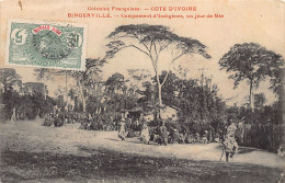 Côte D'Ivoire - BINGERVILLE - Campement D'indigènes, Un Jour De Fête - UN PLI D'ANGLE - Ed. Inconnu  - Ivory Coast
