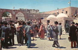 Israel - MERON - Entrance To The Synagogue - Publ. Palphot 5450 - Israël