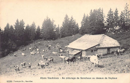 Alpes Vaudoises - Au Pâturage De Sonchaux Au Dessus De Veytaux - Ed. C.P.N. 1230 - Autres & Non Classés