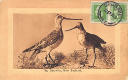 New Zealand - The Godwits - Birds - LIGHTLY UNSTICKED - Publ. Ferguson Ltd.  - Nieuw-Zeeland