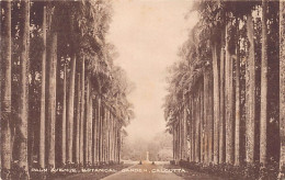India - KOLKATA Calcutta - Palm Avenue, Botanical Garden - Indien