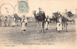 Armée D'Afrique - Spahis Sahariens - Ed. J. Geiser 72 - Sonstige & Ohne Zuordnung