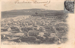 CARTHAGE - Ruines De Damous-el-Karita - Ed. D'Amico  - Tunisie