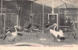 Viet-Nam - SAIGON - Intérieur Des Volières Au Jardin Botanique - Ed. Poujade De Ladevèze 45 - Viêt-Nam