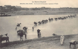 Campagne Du Maroc - MECHRA BEL KSIRI - Un Convoi De Chameau Traversant L'Oued - Ed. Schmitt - Other & Unclassified