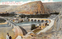 Liban - Les Ponts Du Fleuve Du Chien - Ed. André Terzis & Fils 50482 - Libano