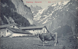 Schweiz - Engelberg (OW) Herrenrüti - Verlag C.P.V. 30031 - Engelberg
