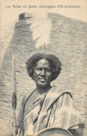 Ethiopia - Gallas (Oromos) At The Zoological Garden Of Acclimatization In Paris, - Ethiopie