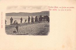 Palestine - The Dead Sea, View From Jericho - Publ. Stengel & Co. 12368 - Palestina