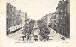 Tunisie - TUNIS - L'avenue De France - Ed. E. D'Amico EDA  - Tunisie