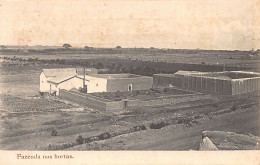 Angola - MOÇÂMEDES - Farm In The Vegetable Gardens - Publ. Unknown  - Angola