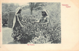 Sri Lanka - Tea Pluckers - Publ. A. W. A. Plâté & Co.  - Sri Lanka (Ceilán)