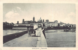 MANTOVA - Panorama - Mantova