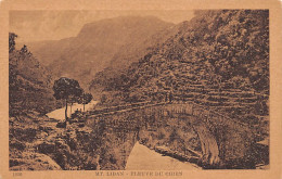 Liban - Mont Liban - Fleuve Du Chien - Ed. Sarrafian Bros. 1039 - Libano