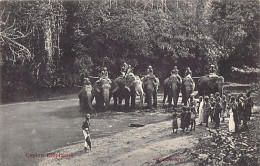 Sri Lanka - Ceylon Elephants - Publ. Skeen-Photo  - Sri Lanka (Ceylon)