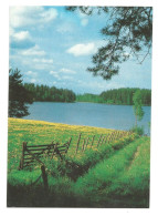 SUMMER LANDSCAPE - FINLAND - - Finnland